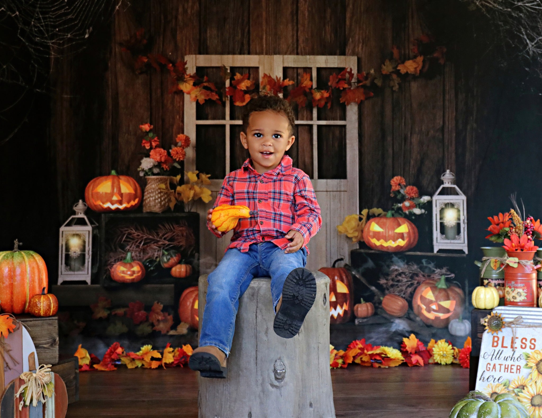Kate Autumn/Thanksgiving Pumpkins Lights Backdrop Designed by Jia Chan Photography -UK