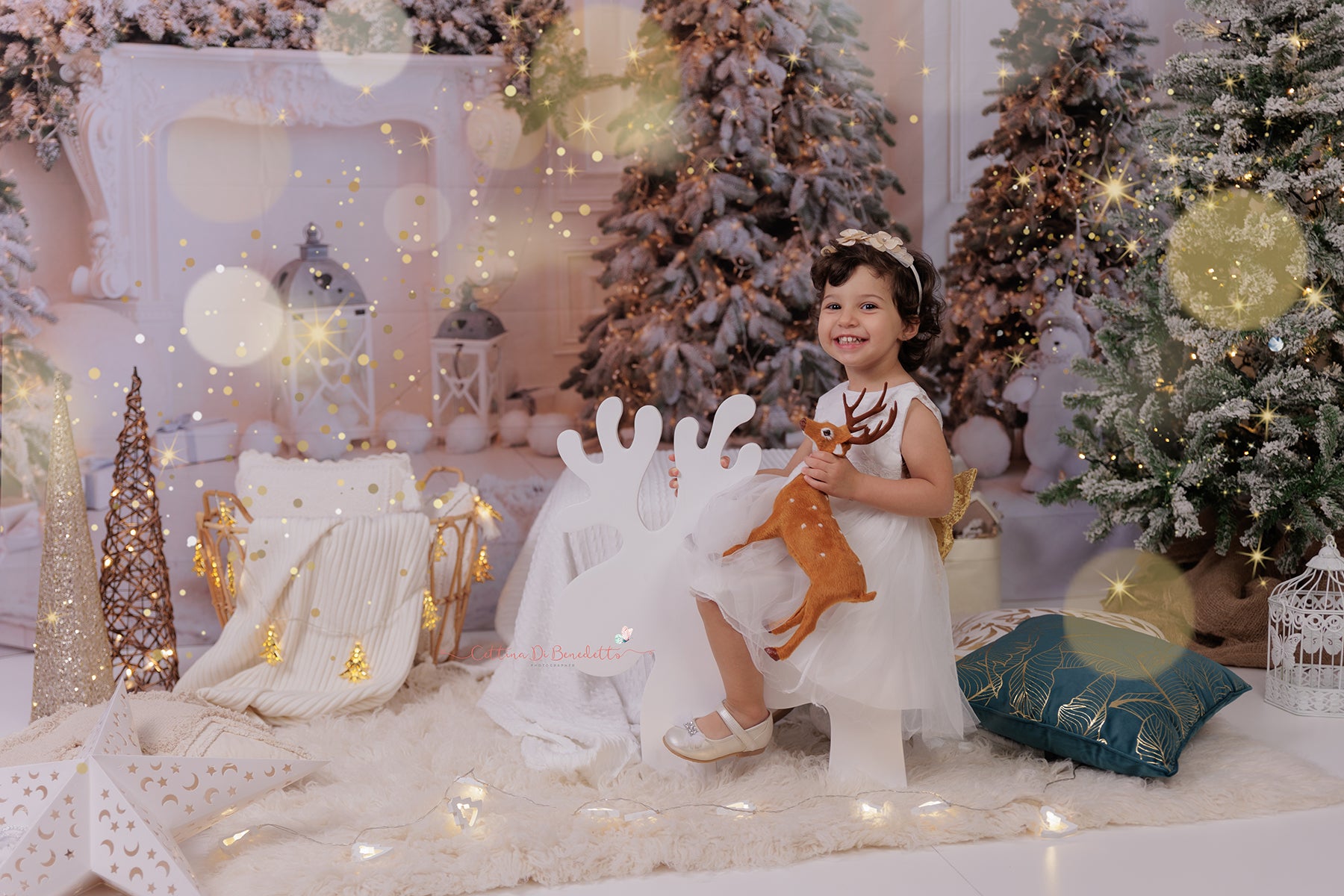 Kate Christmas Trees Bear White Backdrop for Photography -UK