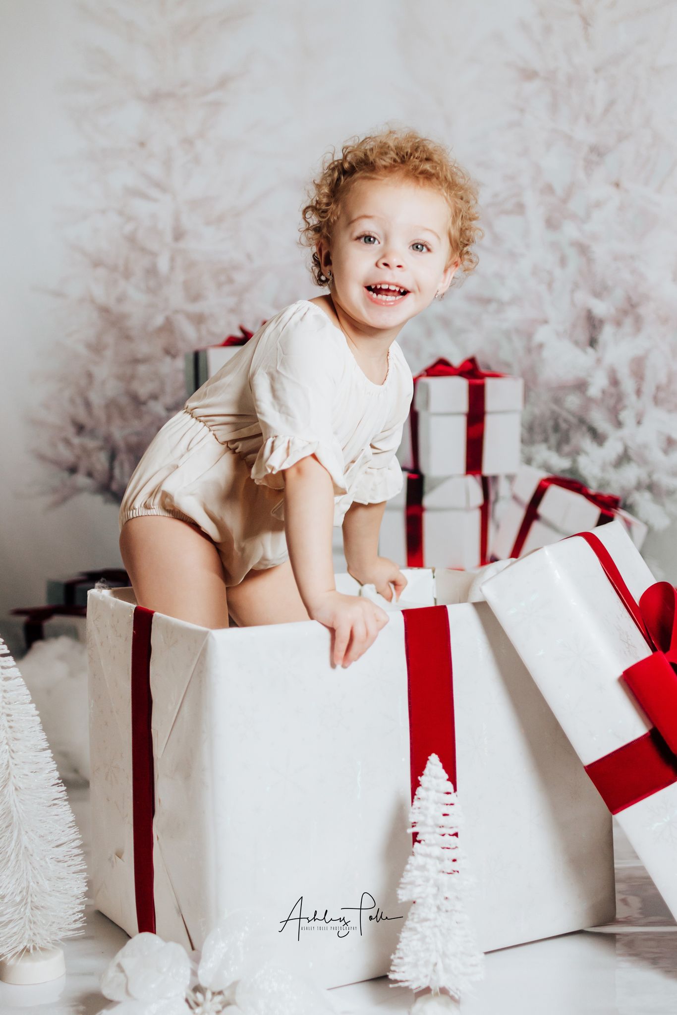 Kate Gift And Snow Tree Backdrop for Christmas Photography