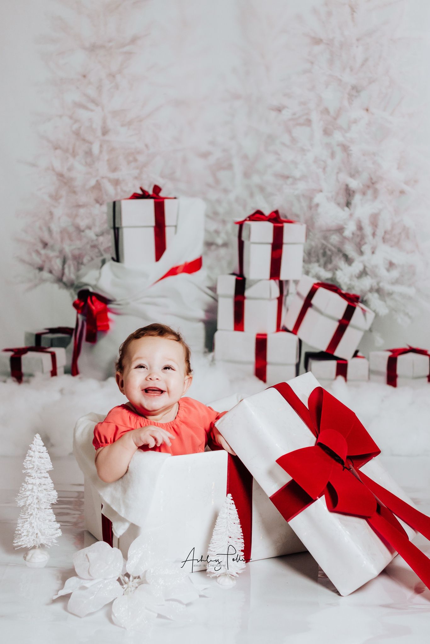 Kate Gift And Snow Tree Backdrop for Christmas Photography