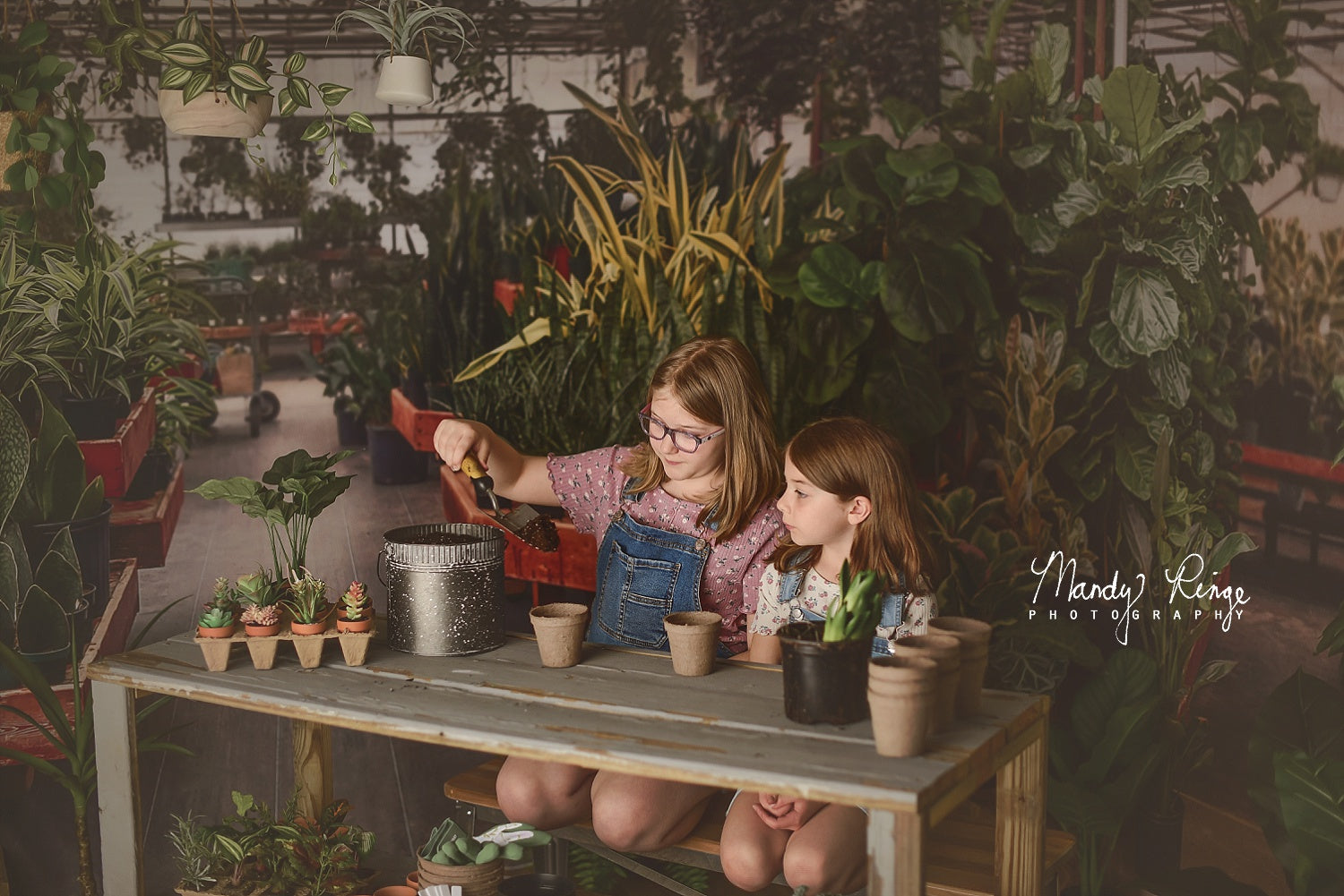 Kate Spring Greenhouse Interior Backdrop Designed by Mandy Ringe Photography -UK