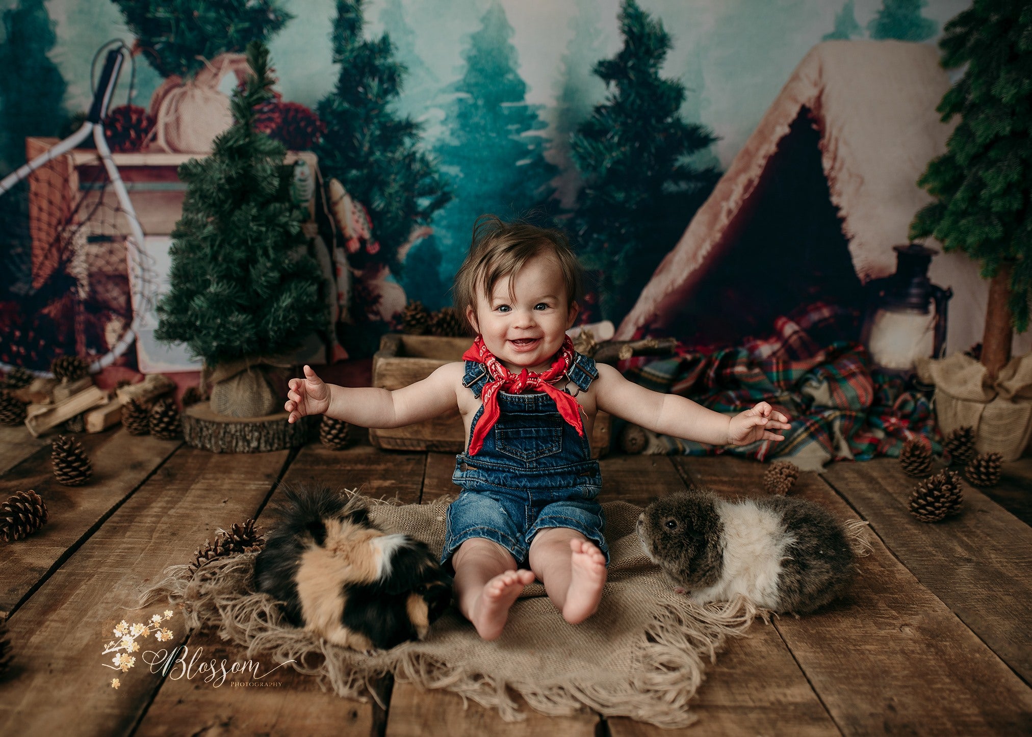 Kate Forest Camping Children Backdrop Designed by Megan Leigh Photography