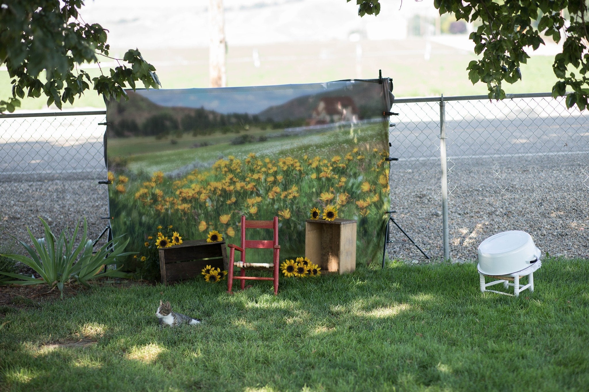 Kate Mountain Meadow Sunflower Backdrop for Photography Designed by Lisa Granden