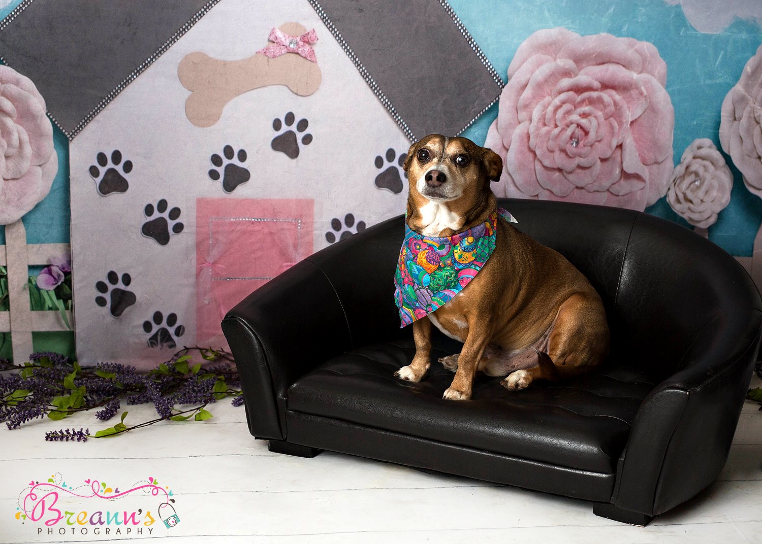Kate Pet Park Railing Spring Children Backdrop for Photography Designed by Erin Larkins -UK