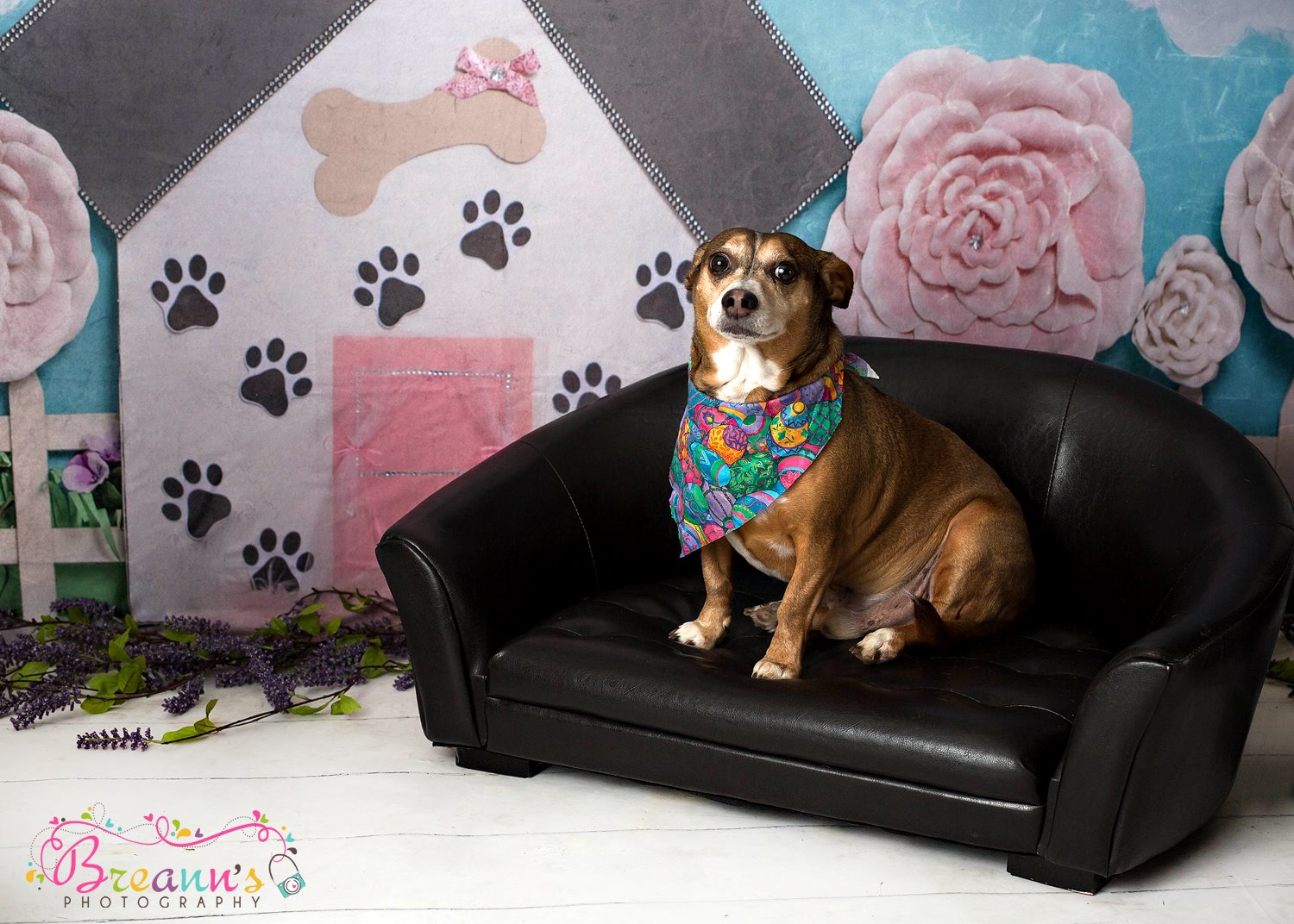 Kate Pet Park Railing Spring Children Backdrop for Photography Designed by Erin Larkins