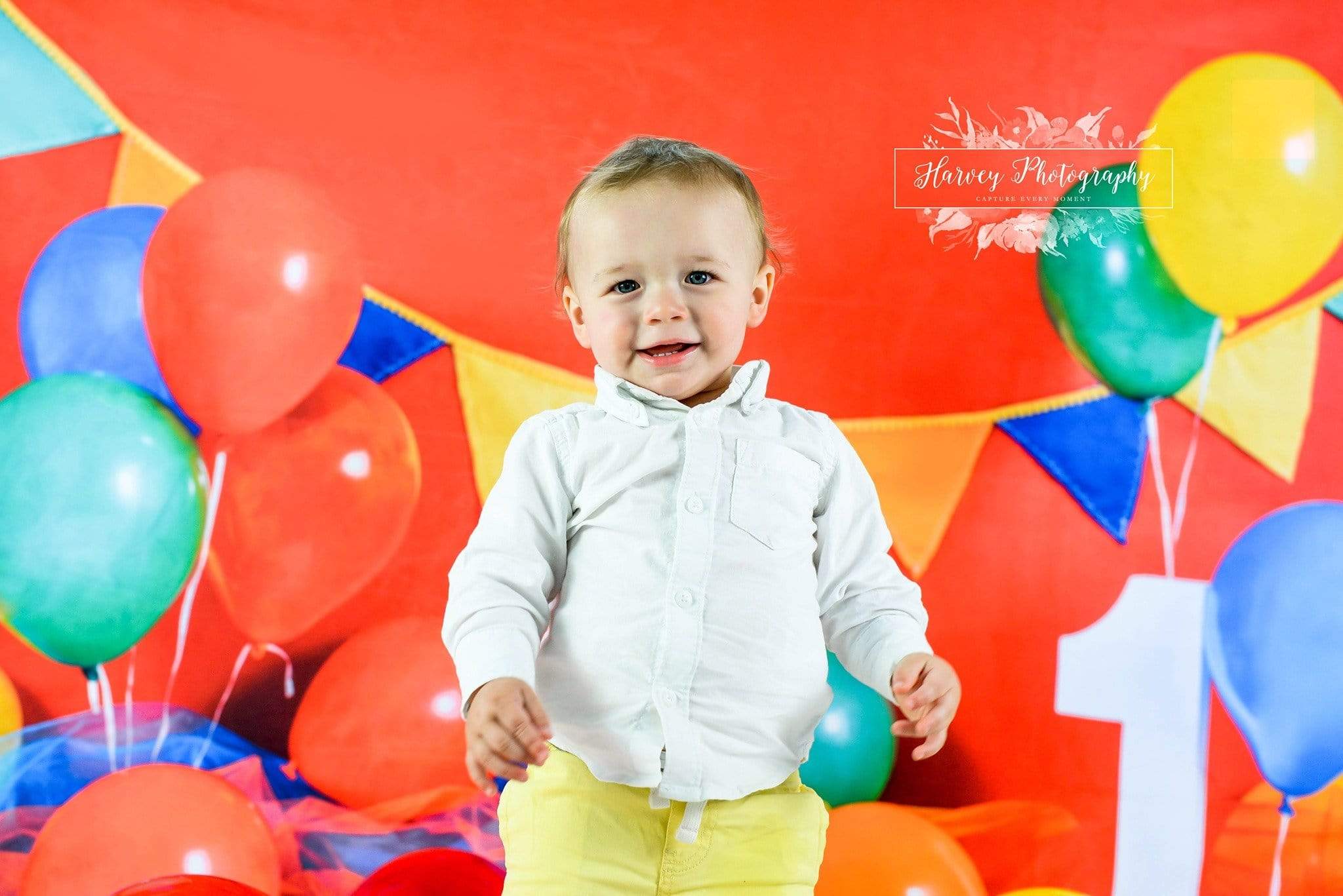 Kate Primary 1st Birthday Backdrop for Photography Designed by Keerstan Jessop