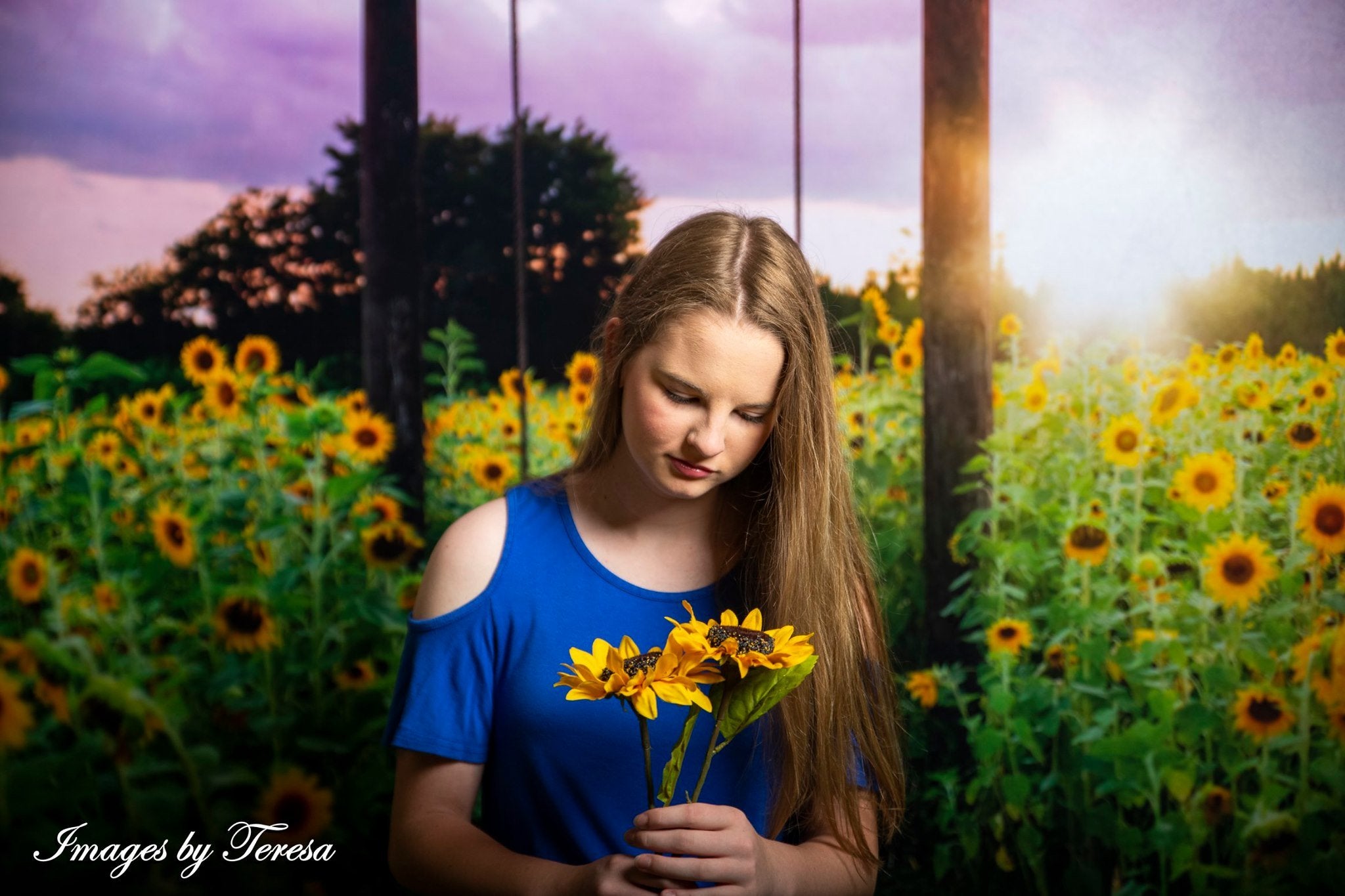 Kate Summer Sunflower Swing Backdrop Designed by Pine Park Collection