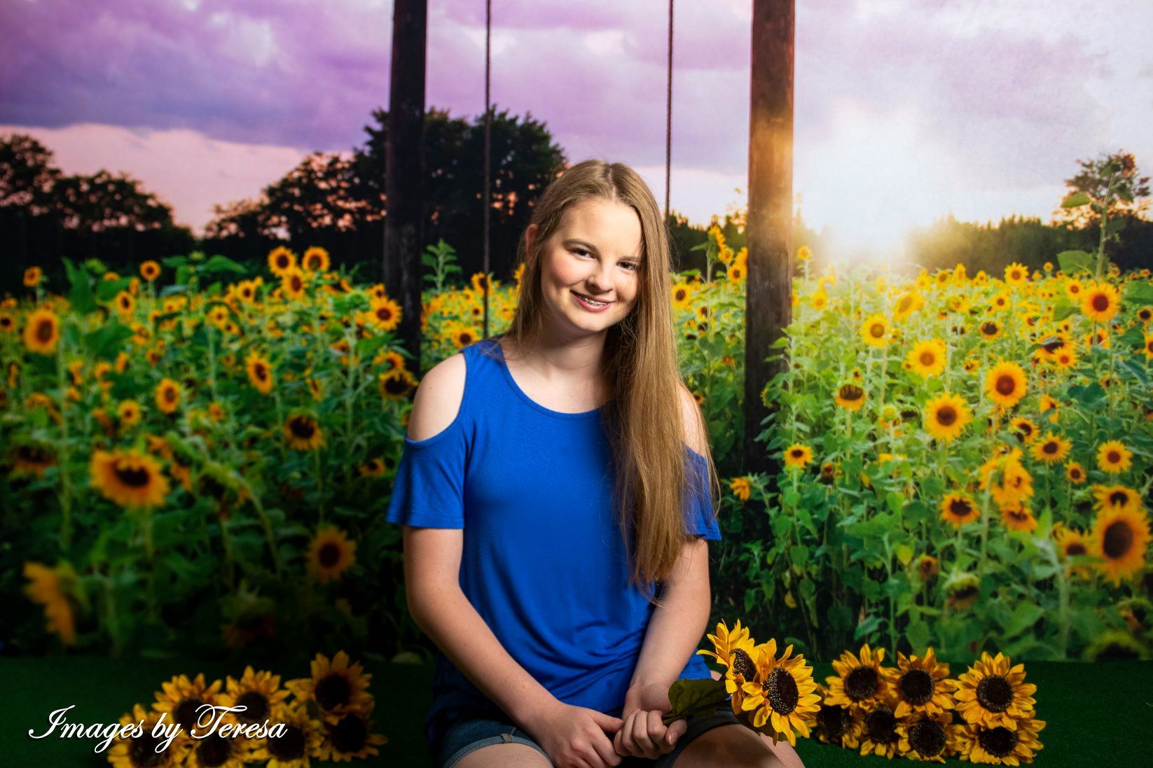 Kate Summer Sunflower Swing Backdrop Designed by Pine Park Collection