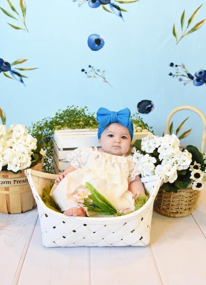 Kate  Blueberries Summer Backdrop for Photography Designed By Leann West -UK