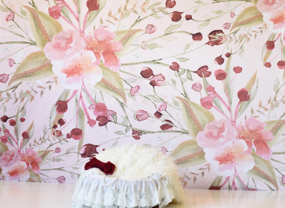Kate  Redberry Flower Backdrop for Photography Designed By Leann West
