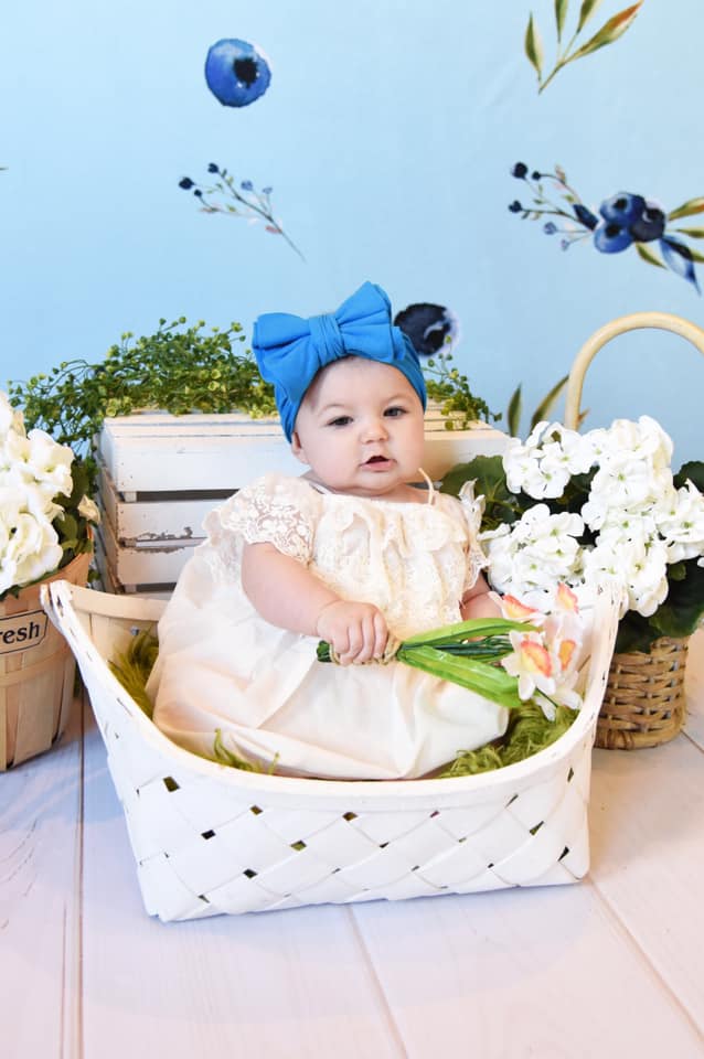 Kate  Blueberries Summer Backdrop for Photography Designed By Leann West -UK