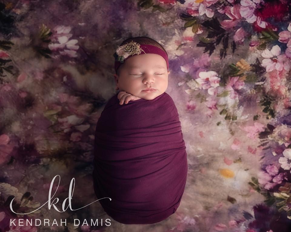 Kate Pink Flower Dark Color Backdrops for Photography