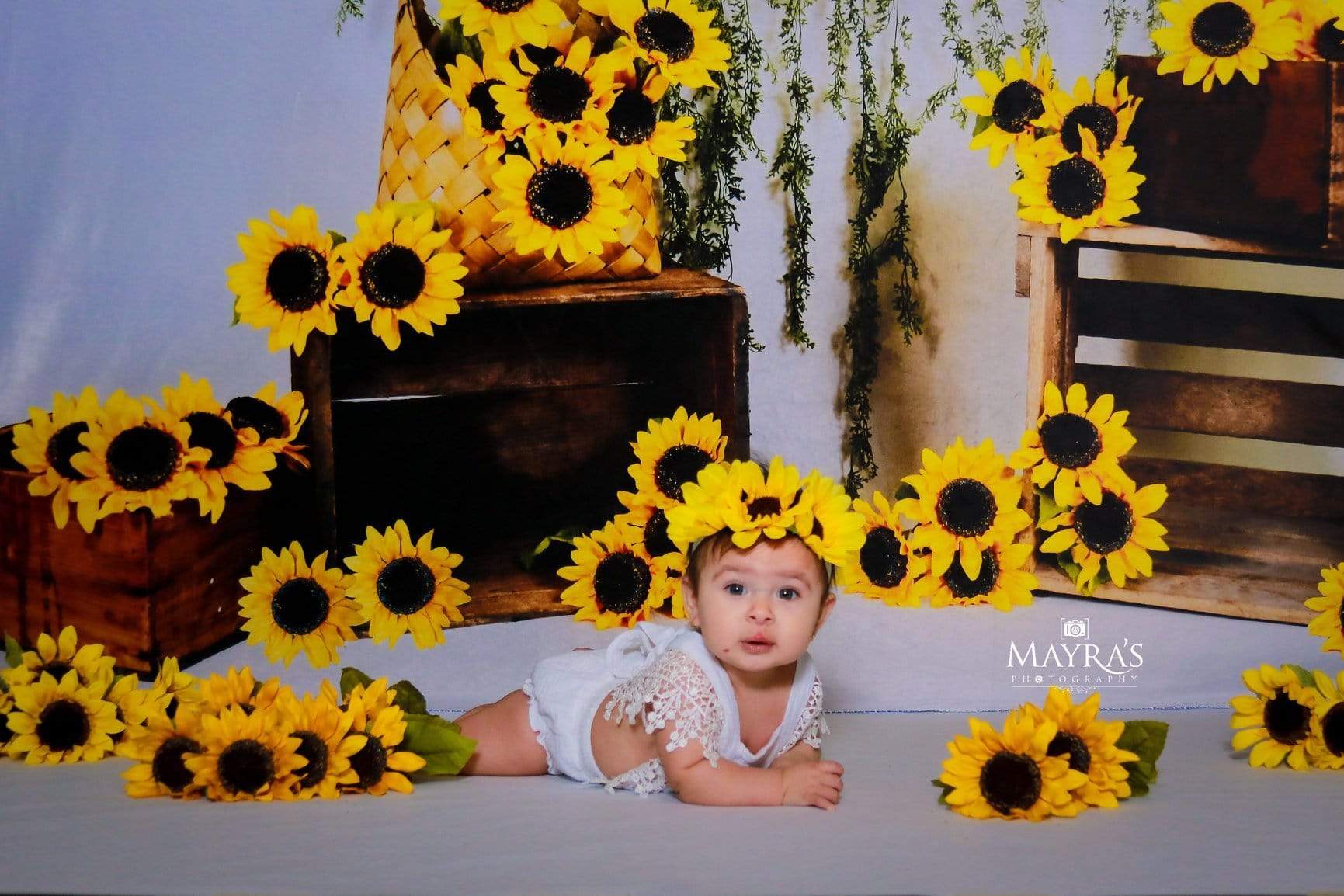 Kate Sunflower Summer Backdrop for Photography Designed by Keerstan Jessop -UK