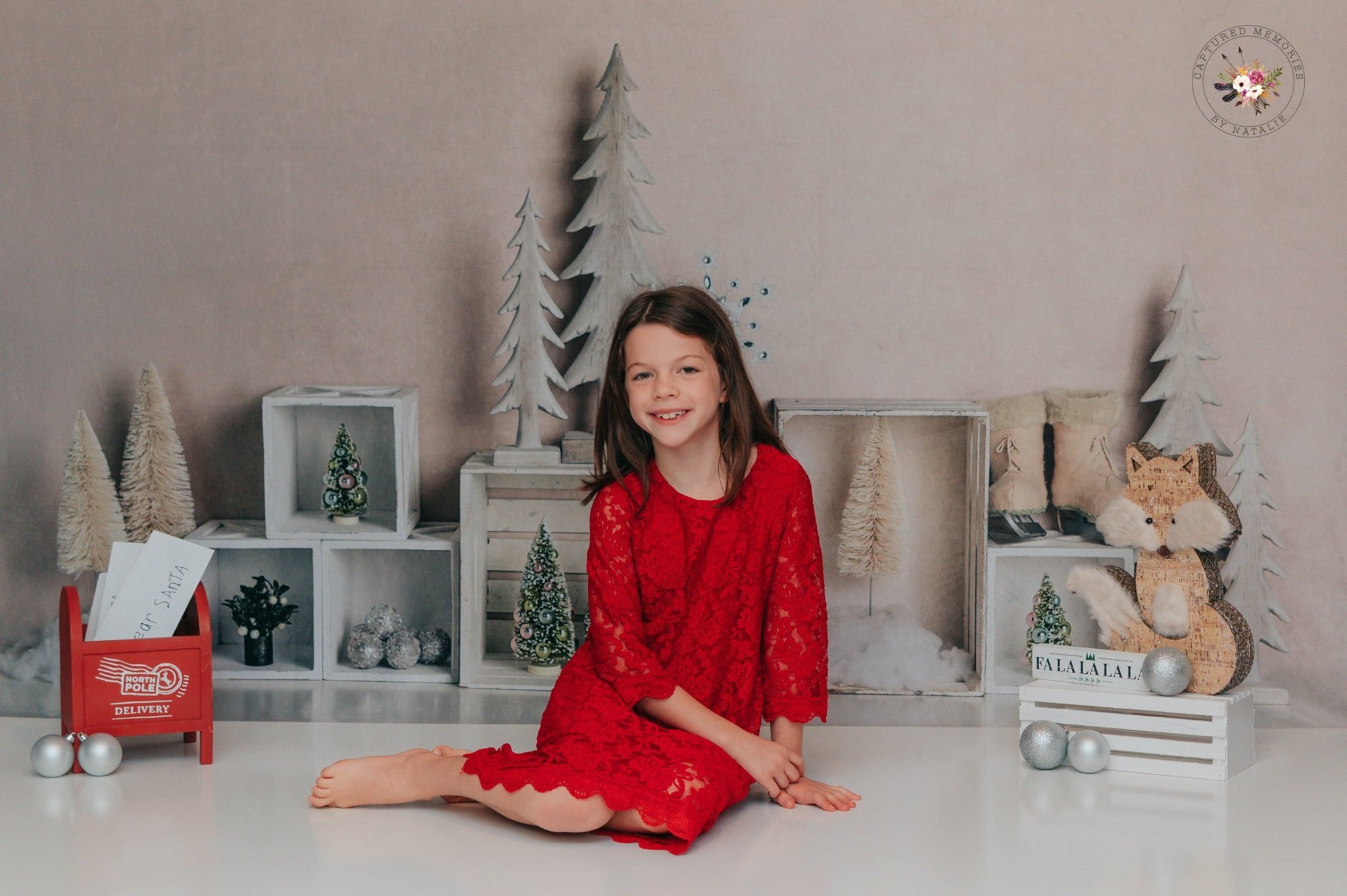 Kate Christmas Elegant Winter Backdrop Designed By Mandy Ringe Photography -UK