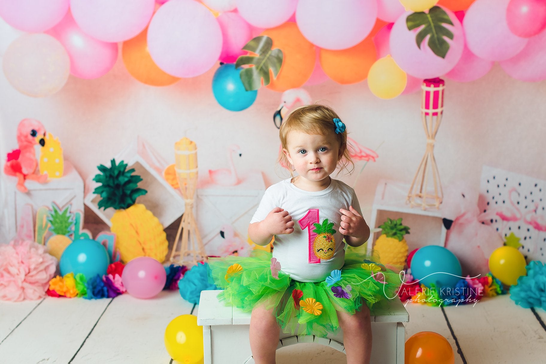 Kate Flamingo Party Children Balloons Backdrop Designed by Laura Lee Photography