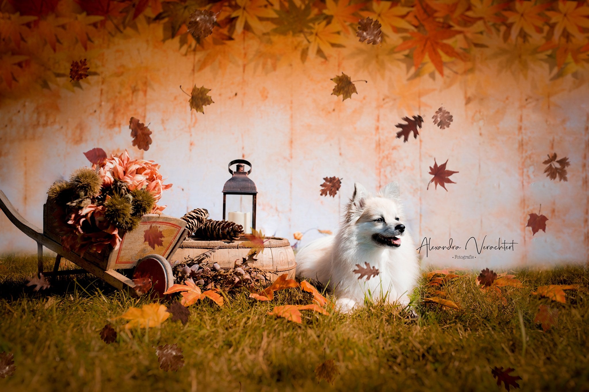 Kate Autumn Retro Maple Leaves Damaged Wood Backdrops for Photography