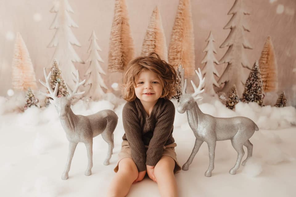 Kate Elegant Christmas Trees with Glitter Backdrop Designed By Mandy Ringe Photography