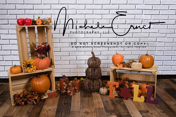 Harvest Festival Warm Tone Pumpkin Backdrop