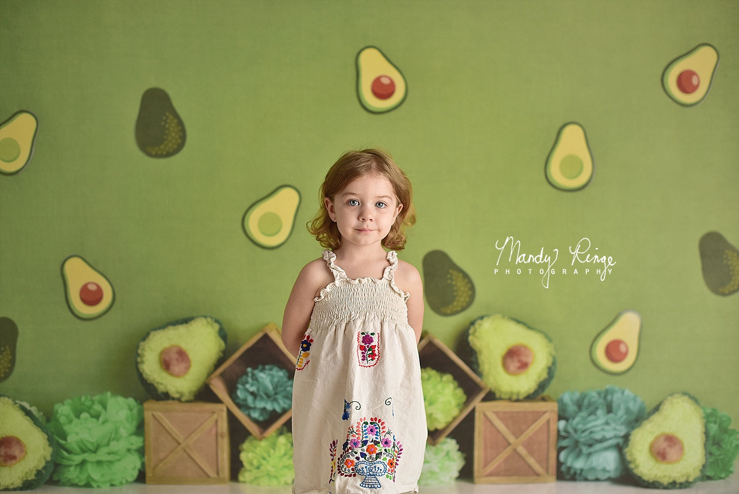 Kate Green Avocado Party Children Summer Backdrop Designed By Mandy Ringe Photography