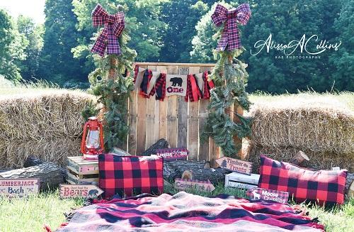 Kate Summer Backdrop Lumber Jack Submitt Designed by AAE Photography