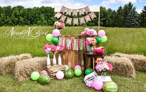 Kate Summer Backdrop Watermelon Stand Designed by AAE Photography