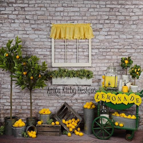 Kate Summer Lemonade Stand Backdrop designed by Arica Kirby