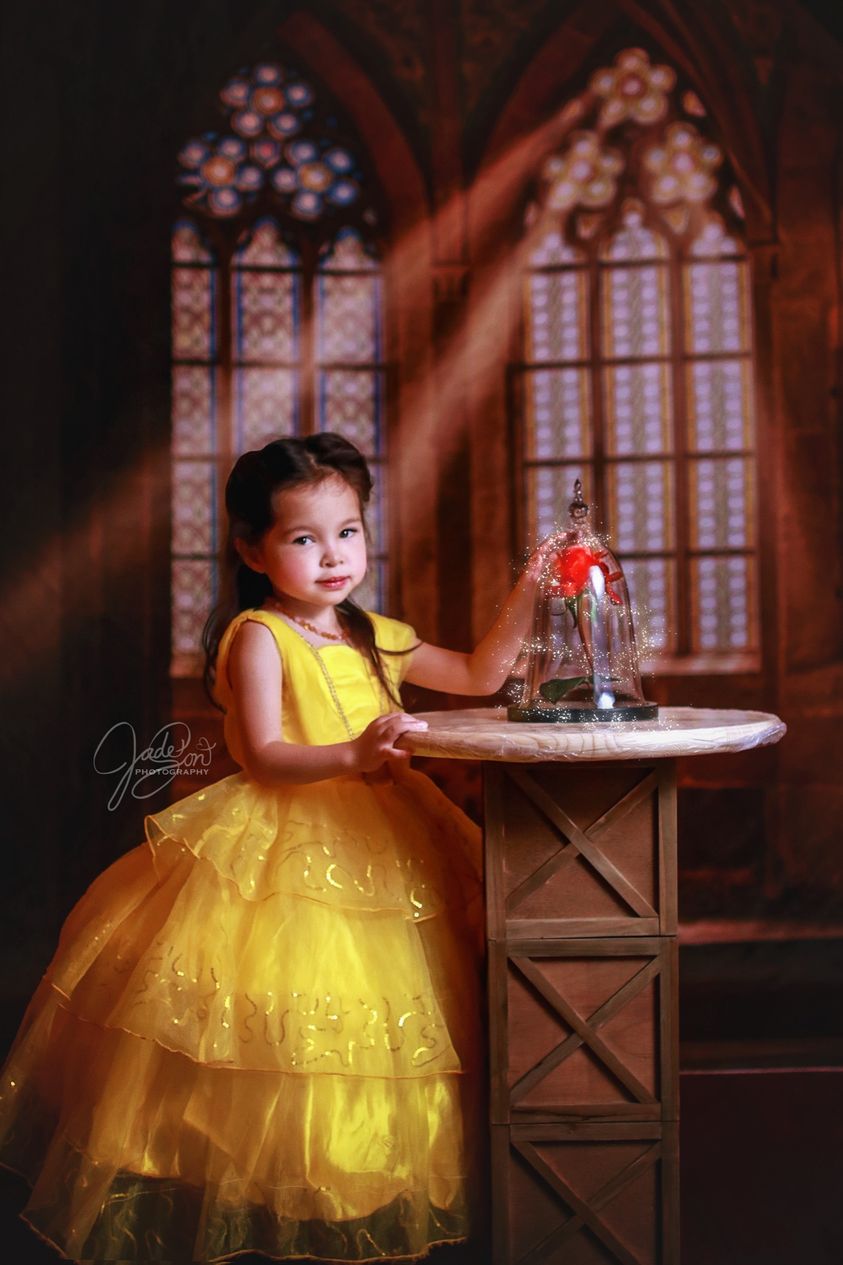 Kate Church Window Sunlight Backdrop Designed by Chain Photography -UK