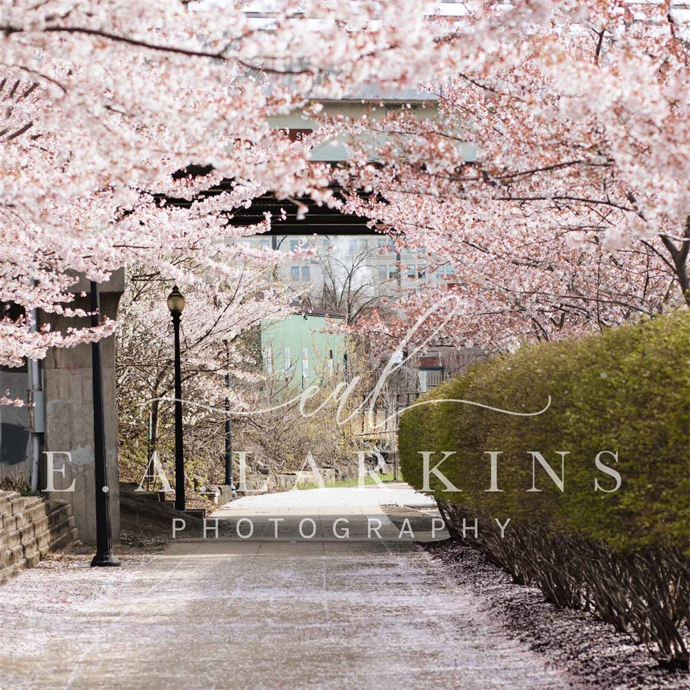 Kate Summer Cherry Blossom Archway Backdrop Designed by Erin Larkins -UK