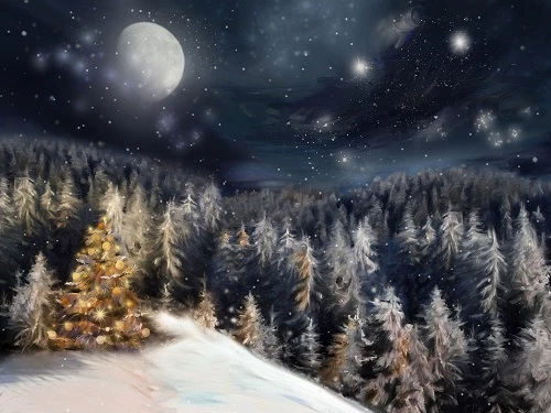 Winter Dream Christmas Night Trees Backdrop