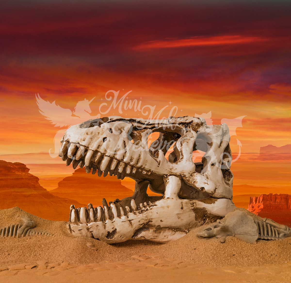 Kate Dino Skull Skeleton Desert Paleontologist Scientist Boy Backdrop Designed by Mini MakeBelieve
