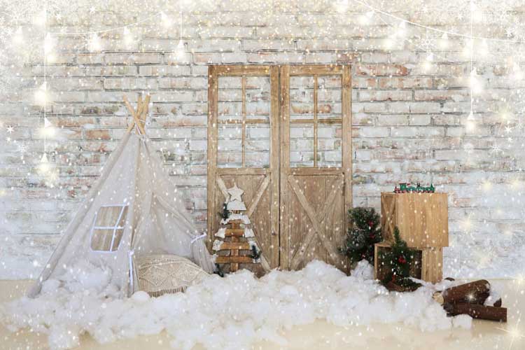 Kate Snow Christmas Barn Door Backdrop for Photography