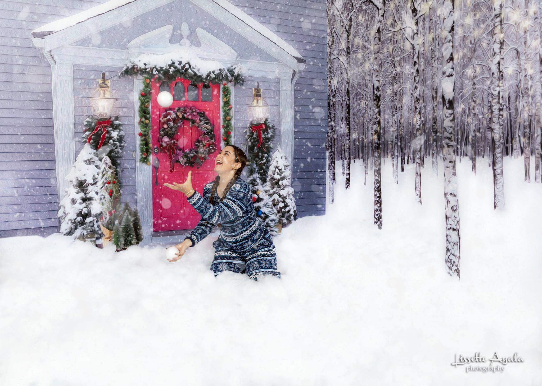 Kate Christmas Snow Winter Room Set