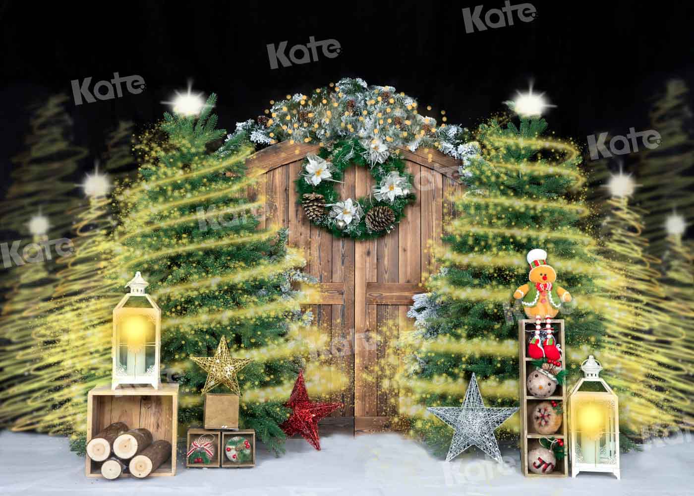 Kate Gorgeous Christmas Barn Door Shiny Backdrop Designed by Emetselch