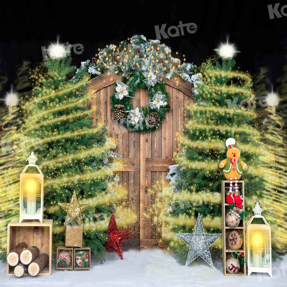 Kate Gorgeous Christmas Barn Door Shiny Backdrop Designed by Emetselch