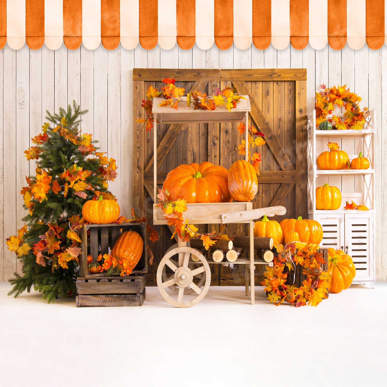 Kate Thanksgiving Pumpkins Harvest Store Backdrop for Photography