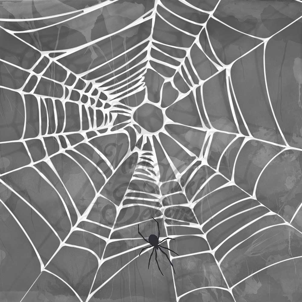 Kate Halloween Spooky Spider Web Backdrop Designed by Mini MakeBelieve