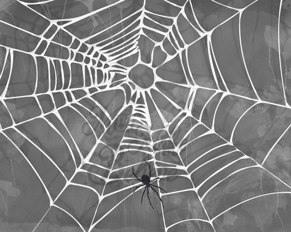 Kate Halloween Spooky Spider Web Backdrop Designed by Mini MakeBelieve