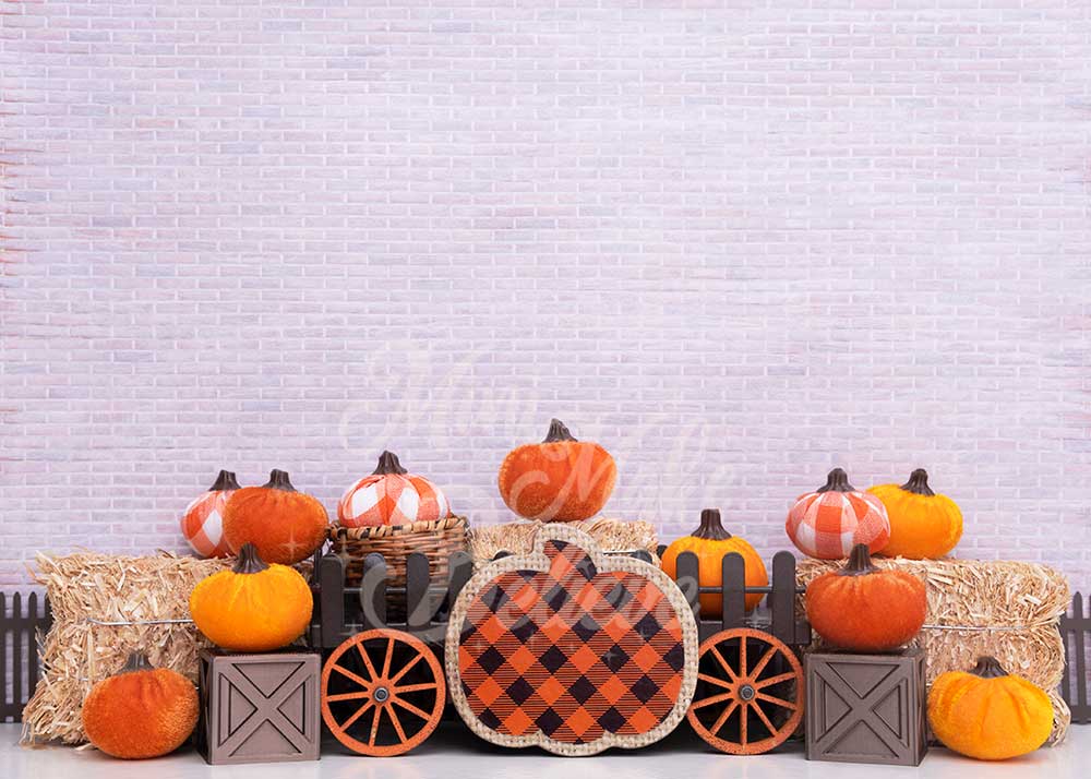 Kate Autumn Thanksgiving Velvet Pumpkins Backdrop Designed by Mini MakeBelieve
