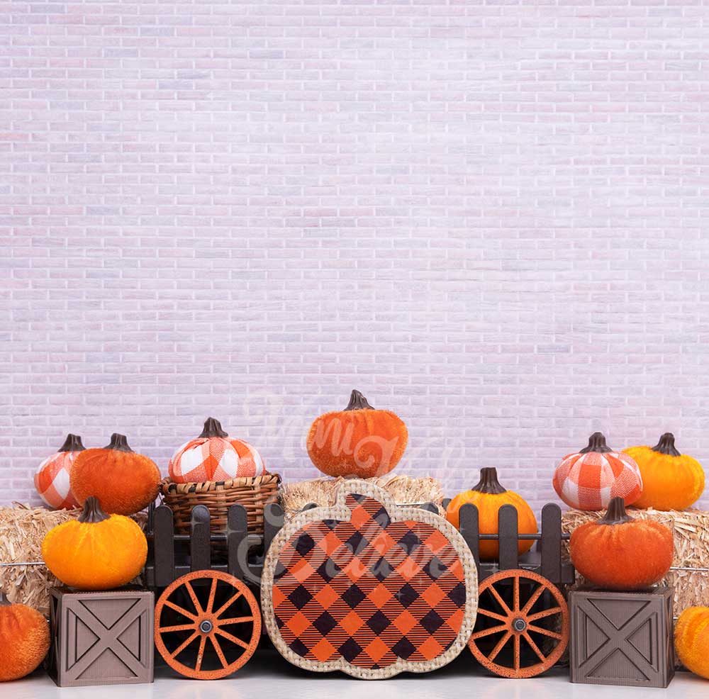 Kate Autumn Thanksgiving Velvet Pumpkins Backdrop Designed by Mini MakeBelieve