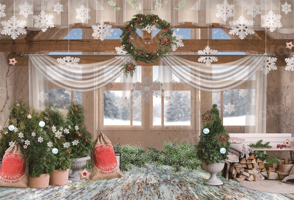 Kate Christmas Window Snow Backdrop for Photography