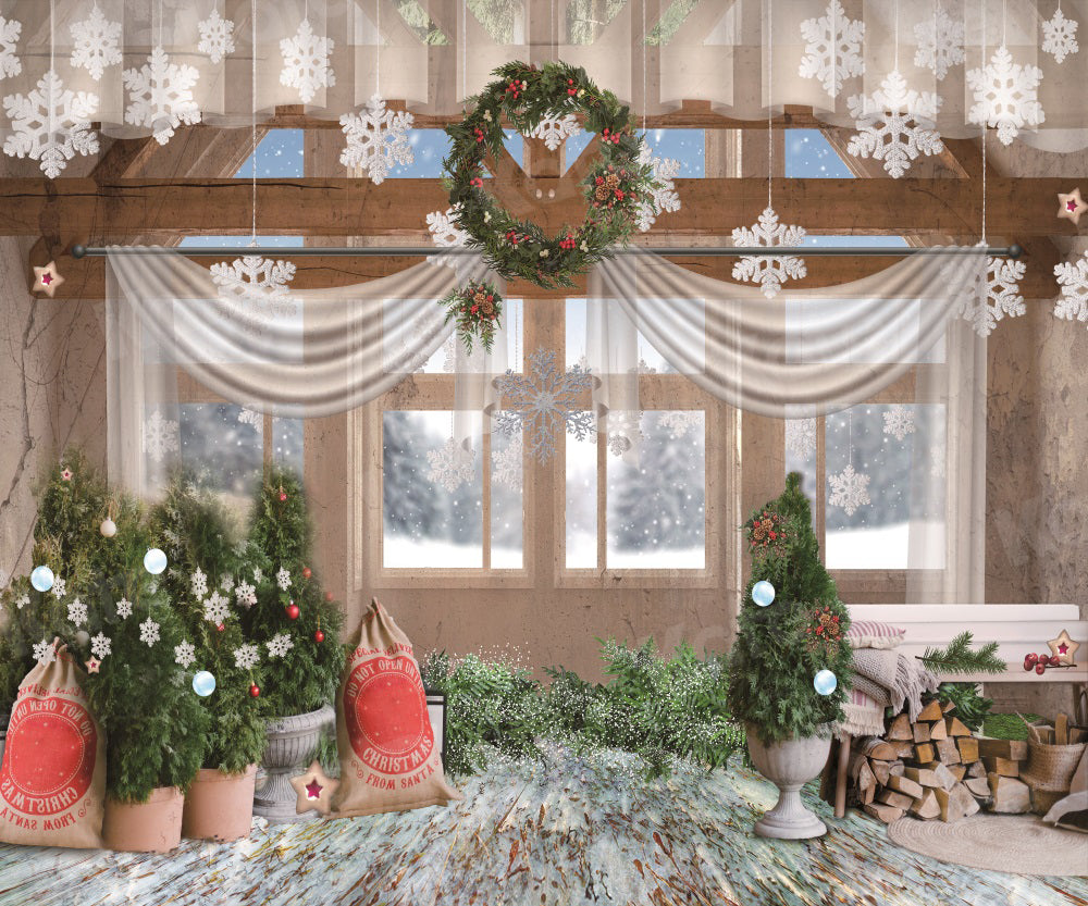 Kate Christmas Window Snow Backdrop for Photography