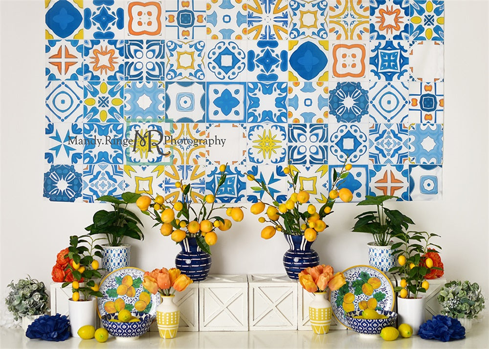 Kate Mediterranean Summer Backdrop Designed by Mandy Ringe Photography -UK