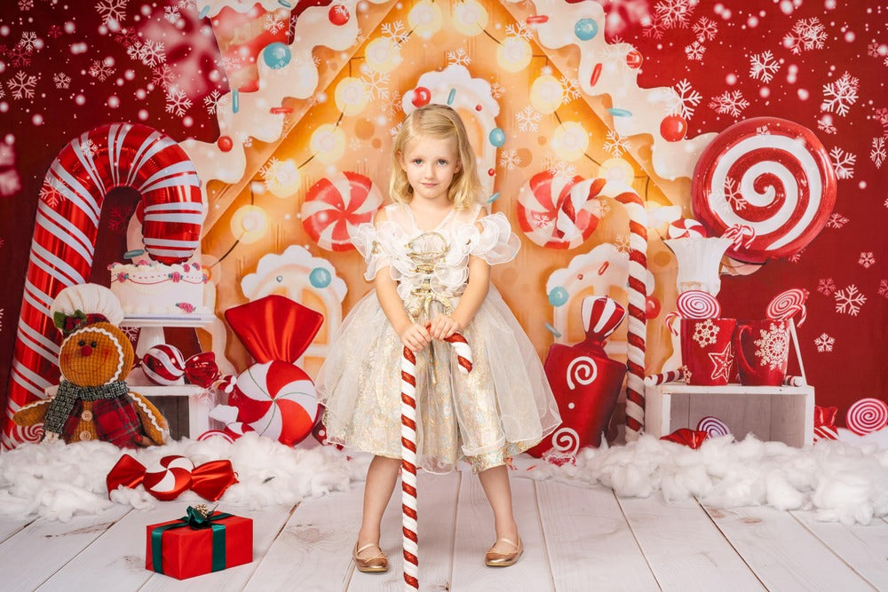 Kate Christmas Gingerbread House Candy Backdrop for Photography