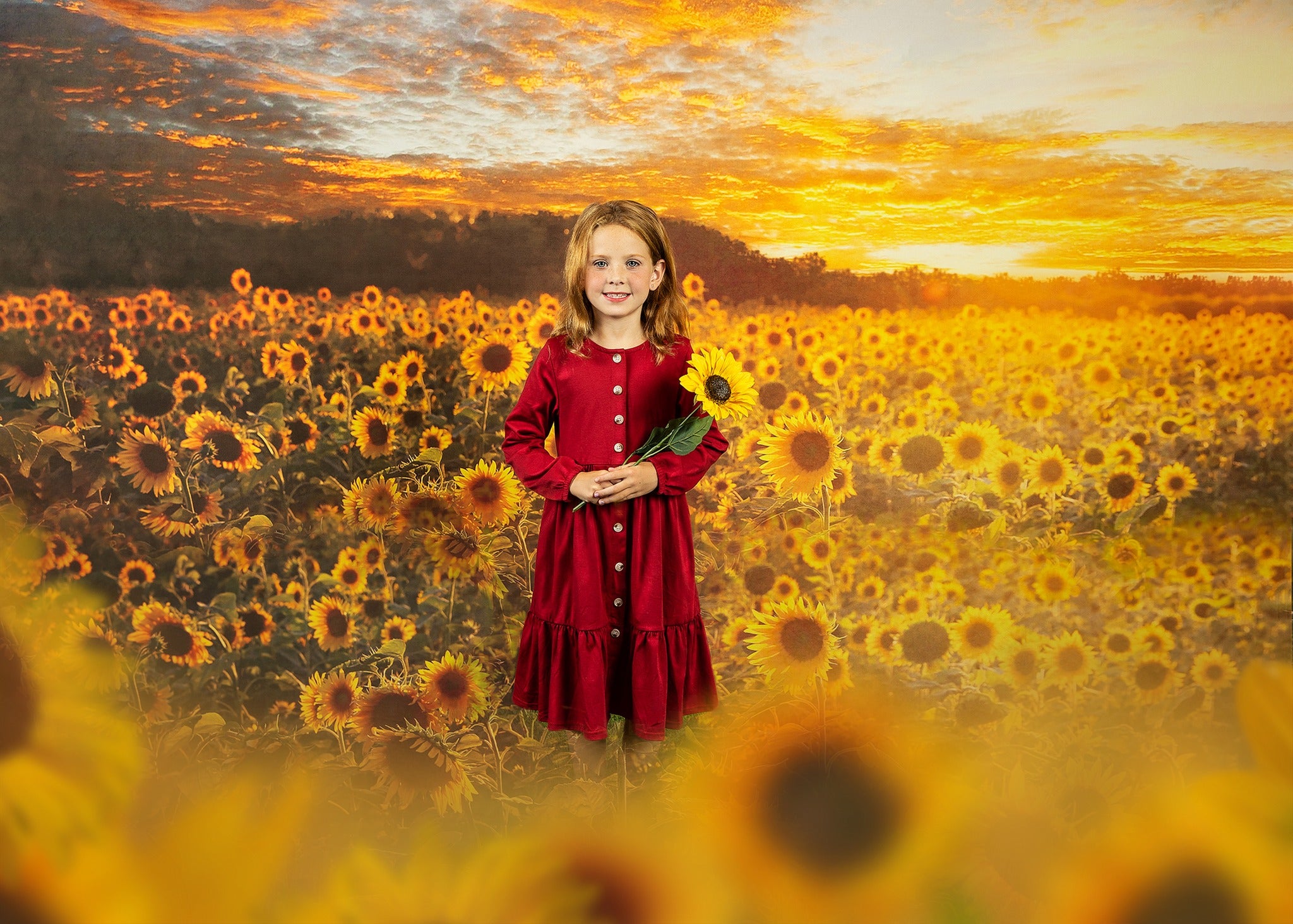 Kate Autumn/Summer Sunflower Field Sunset Backdrop by Chain Photography