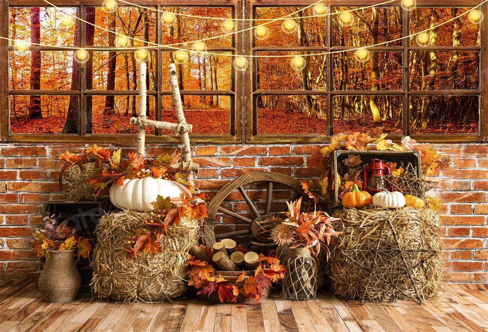Kate Autumn Barn Pumpkins Window Leaves Backdrop for Photography