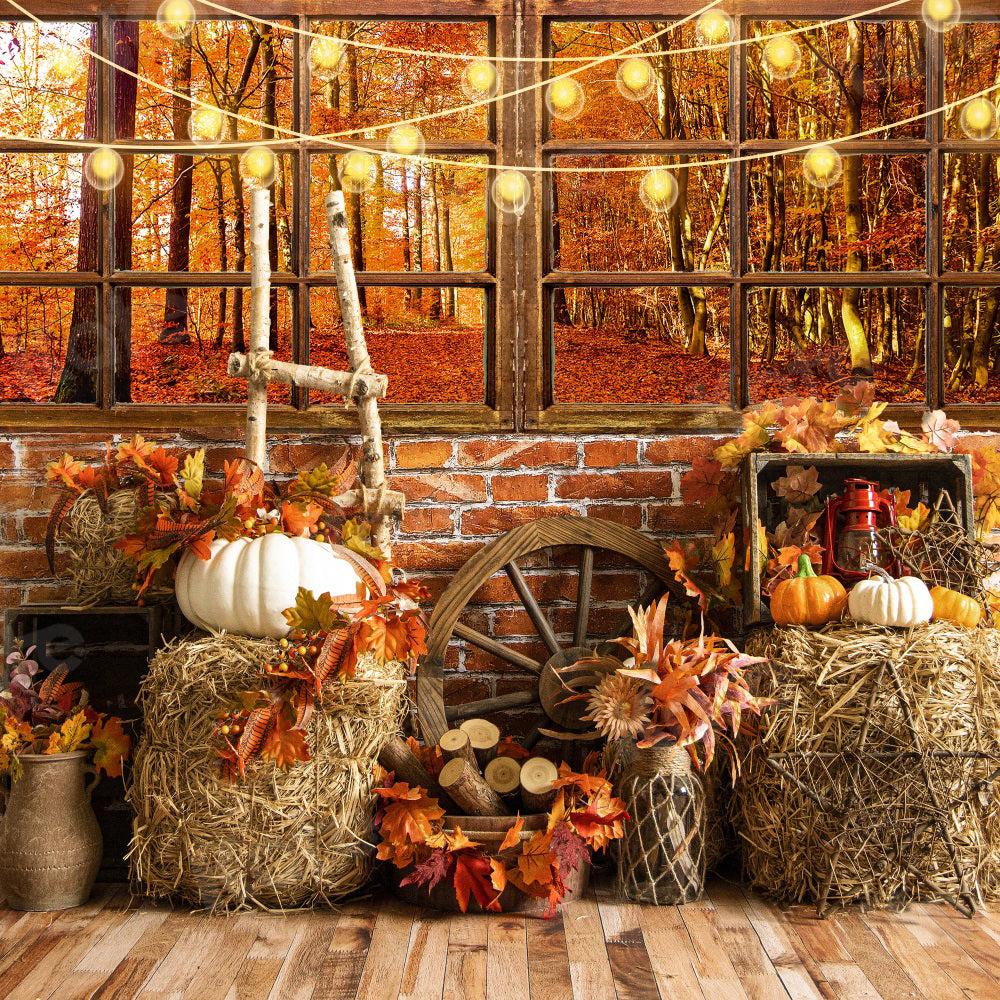 Kate Autumn Barn Pumpkins Window Leaves Backdrop for Photography