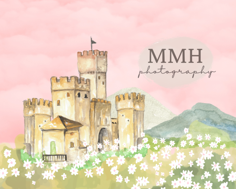 Kate Princess Castle Backdrop Designed by Melissa McCraw-Hummer