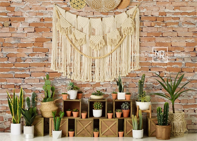 Kate Boho Cactus Wall Backdrop Designed by Mandy Ringe Photography