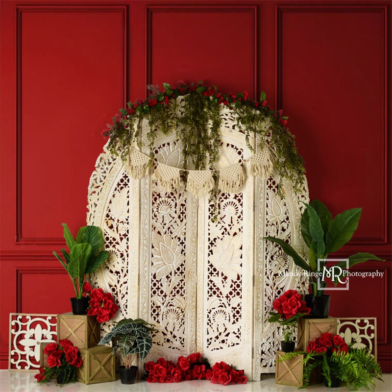 Kate Valentine's Screen with Red Wall Backdrop Designed by Mandy Ringe Photography -UK
