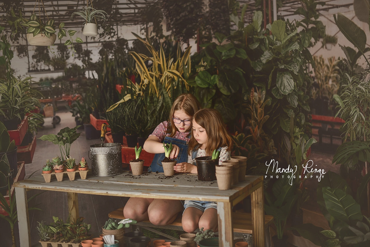 Kate Spring Greenhouse Interior Backdrop Designed by Mandy Ringe Photography